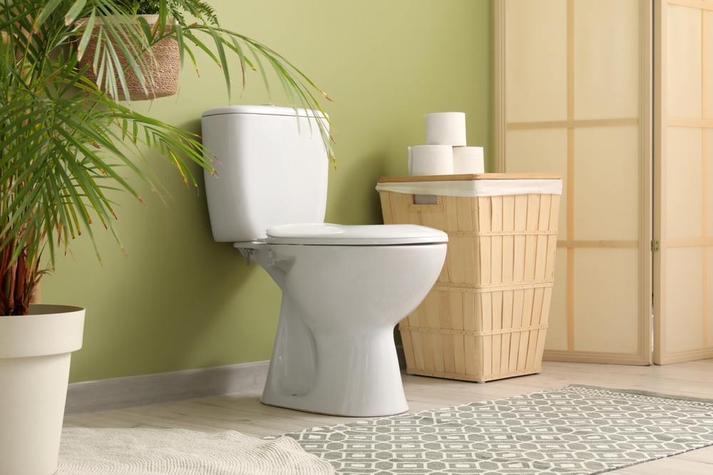 A bathroom with a green accent wall, against which rests a toilet, linen basket, and plant